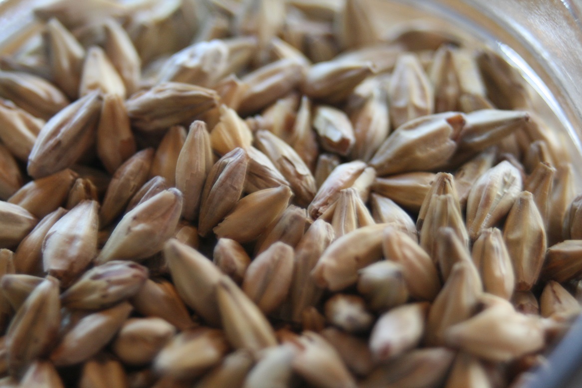 honeymalt